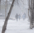 Погода в Коми 22 ноября: умеренный снег, -3...-5°С - ИА Комиинформ
