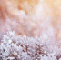 Первоисточник - Syktyvkar.1istochnik.Ru