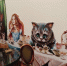 Чеширский Кот, кот Матроскин и Багира – любимые животные россиян - KomiOnline.Ru