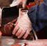 В Коми увеличилось производство скота и птицы на убой - ИА Комиинформ