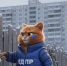 img - ЛДПР