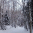 Первоисточник - Syktyvkar.1istochnik.Ru