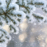 Первоисточник - Syktyvkar.1istochnik.Ru