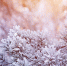 Первоисточник - Syktyvkar.1istochnik.Ru
