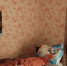 img - ЛДПР