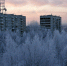Фото: Яндекс Карты - Syktyvkar.1istochnik.Ru