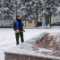 img - ЛДПР