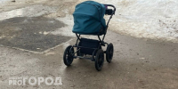 В Коми стартует федеральное исследование уровня жизни многодетных семей - Pg11.Ru