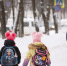 Погода в Коми 11 февраля: в северных районах -23...-28°С, в южных -16...-21°С - ИА Комиинформ