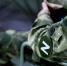 Минобороны России: над Коми сбиты 9 беспилотников - Bnkomi.Ru