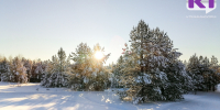 Погода в Коми 17 февраля: ветер переменный, -17...-22°С - ИА Комиинформ