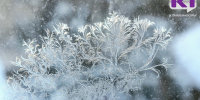 Погода в Коми 19 февраля: днем -15...-20°С, на крайнем северо-востоке -32...-37°С - ИА Комиинформ