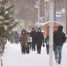 Погода в Коми 24 февраля: на юге -4...-9°С, на севере -18...-23°С - ИА Комиинформ