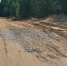 В Коми обновят дорогу к поселку Мещура - Pg11.Ru