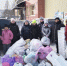 Экофевраль: Региональный оператор Севера проведет акции в 20 населенных пунктах - ИА Комиинформ