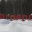 img - ЛДПР