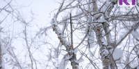 Погода в Коми 2 марта: -13...-18°С, на юге днем -3...-8°С - ИА Комиинформ