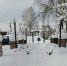 img - ЛДПР