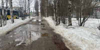 Главная картинка новости: 14 марта весна укрепляет свои позиции в Коми: температура до +9 °C - Новости Коми