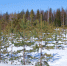 Погода в Коми 18 марта: на севере -20°С, на юге до +10°С - ИА Комиинформ