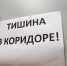 В Вуктыле любительница громкой музыки предстанет перед судом за оскорбление полицейского - ИА Комиинформ