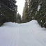 img - ЛДПР
