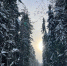 Итоги "Лыжни здоровья" подведут 21 апреля - Эжвинский район