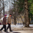 Погода в Коми 15 апреля: -15°С на севере, +12°С на юге - ИА Комиинформ