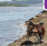 На реках Лузе, Сысоле и Ком вода возвращается в русло - ИА Комиинформ