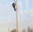 img - ЛДПР
