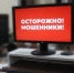 Жительница Сыктывкара лишилась 5 миллионов рублей после голосования за благоустройство детской площадки - Pg11.Ru