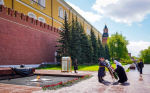 Владимир Михайлович Теребихин. Информационный материал