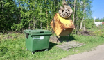 novye-konteinery-v-Schelyayure-2.jpg